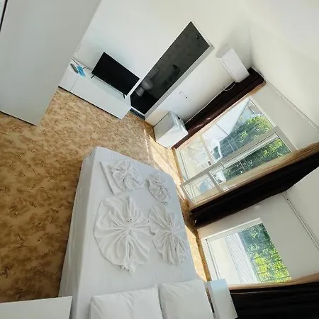 Ivelin House